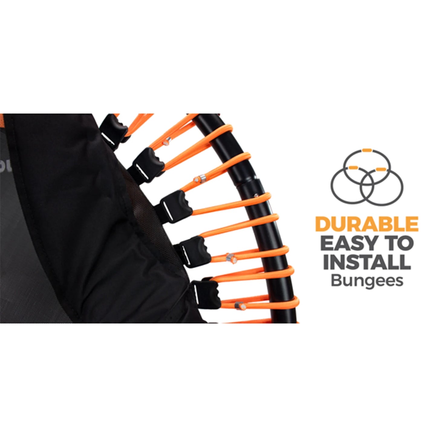 The Fitness Trampoline - Bungee Rebounder