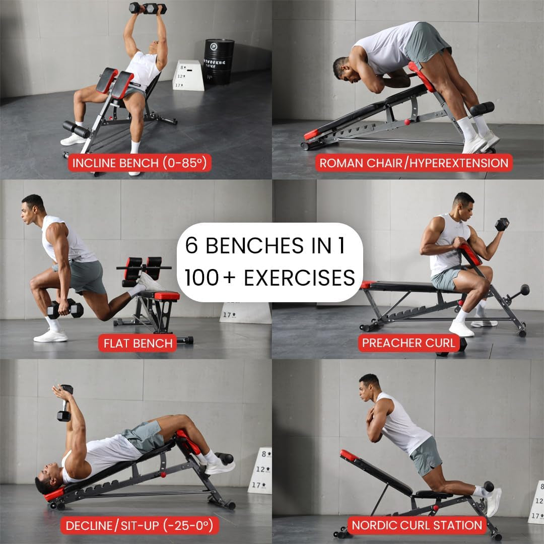 Multi-Functional FID Bench